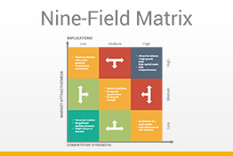 Nine-Field Matrix Diagrams Google Slides Template