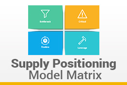 Supply Positioning Model Google Slides Template