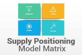 Supply Positioning Model PowerPoint Template PPT Slides