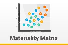 Materiality Matrix Google Slides Template