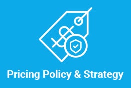 Pricing Policy and Strategy PowerPoint Template