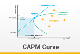 CAPM Capital Asset Pricing Model Google Slides Template
