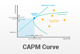 CAPM Capital Asset Pricing Model PowerPoint Template
