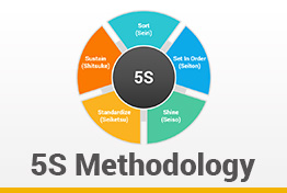 5S Methodology Google Slides Template Diagrams