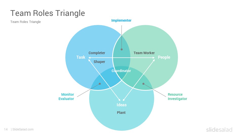 belbin team roles test public domain