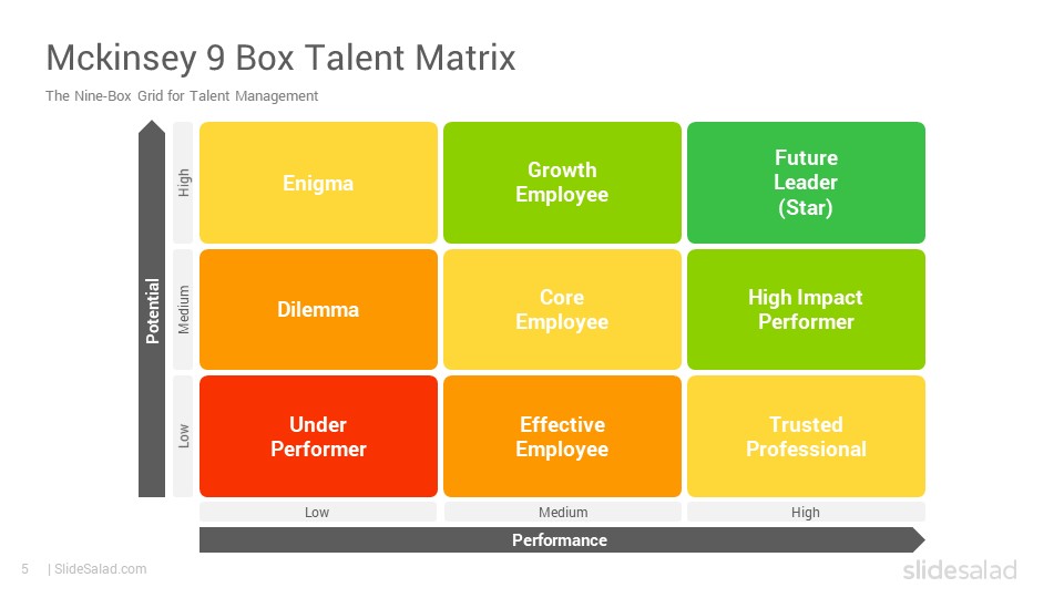 9 Box Grid Talent Management Matrix Google Slides Template SlideSalad