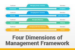 Birkinshaw's Four Dimensions of Management Google Slides Template