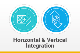 Horizontal and Vertical Integration Google Slides Template