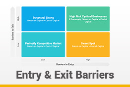 Entry and Exit Barriers Google Slides Template