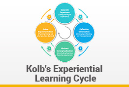 Kolb’s Experiential Learning Cycle Google Slides Template