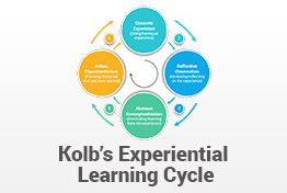 Kolb’s Experiential Learning Cycle PowerPoint Template