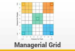 Blake-Mouton Managerial Grid Model Google Slides Template