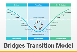 Bridges Transition Model Google Slides Template