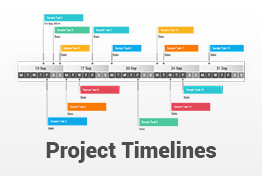 Project Timelines Diagrams PowerPoint Presentation Template