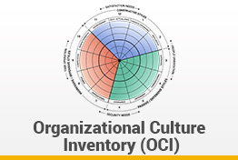 Organizational Culture Inventory Model Google Slides Template