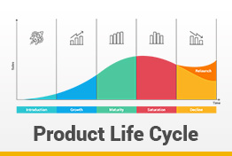 Product Life Cycle Google Slides Template Designs
