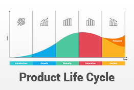 Product Life Cycle PowerPoint Template Designs