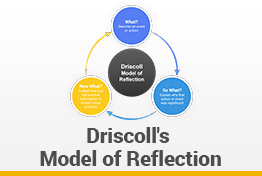 Driscoll Model of Reflection Google Slides Template