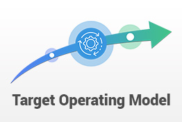Target Operating Model PowerPoint Template Designs