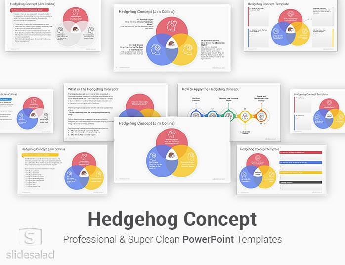 Hedgehog Concept PowerPoint Template Designs