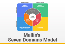 Mullin's Seven Domains Model Google Slides Template
