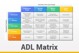 ADL Matrix Google Slides Template