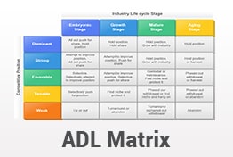 ADL Matrix PowerPoint Template Designs