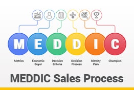 MEDDIC Sales Process Google Slides Template Designs