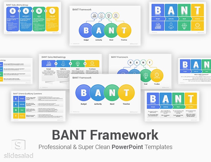 BANT Framework PowerPoint Template Designs