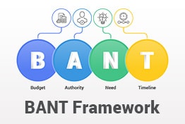 BANT Framework PowerPoint Template Designs