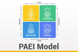 PAEI Model Google Slides Template Designs