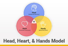 Head Heart and Hands Model Google Slides Templates