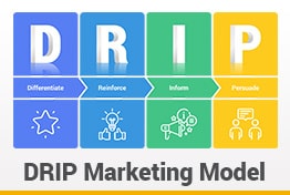 DRIP Model of Communication Google Slides Template
