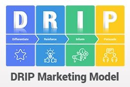 DRIP Model of Communication PowerPoint Template