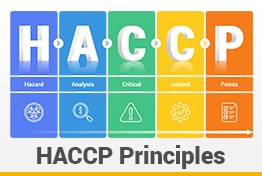 HACCP Google Slides Templates Infographics