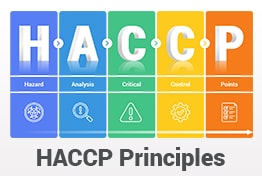 HACCP PowerPoint Templates Infographics