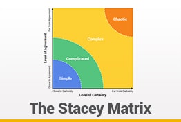 Stacey Matrix Google Slides Templates